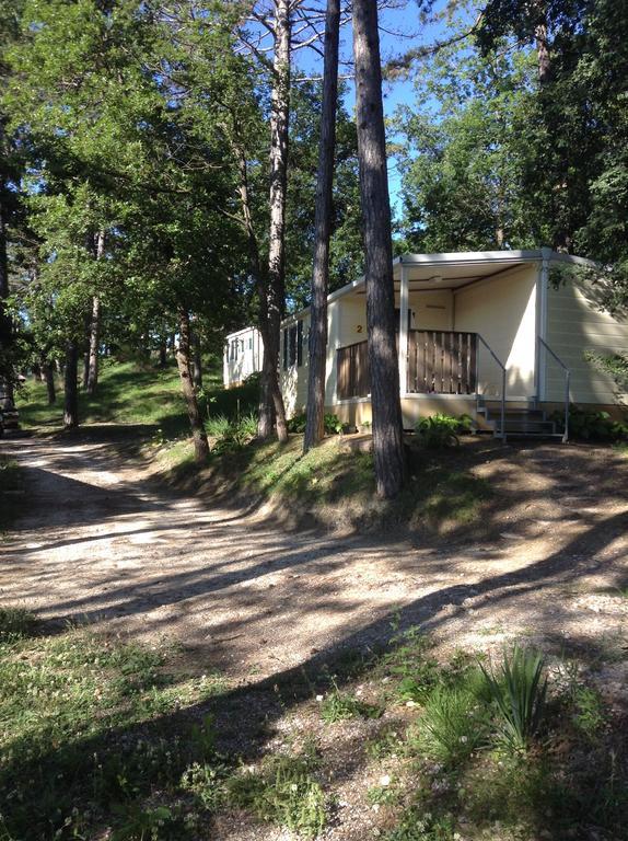 Camping Pineta Ξενοδοχείο Ουρμπίνο Εξωτερικό φωτογραφία