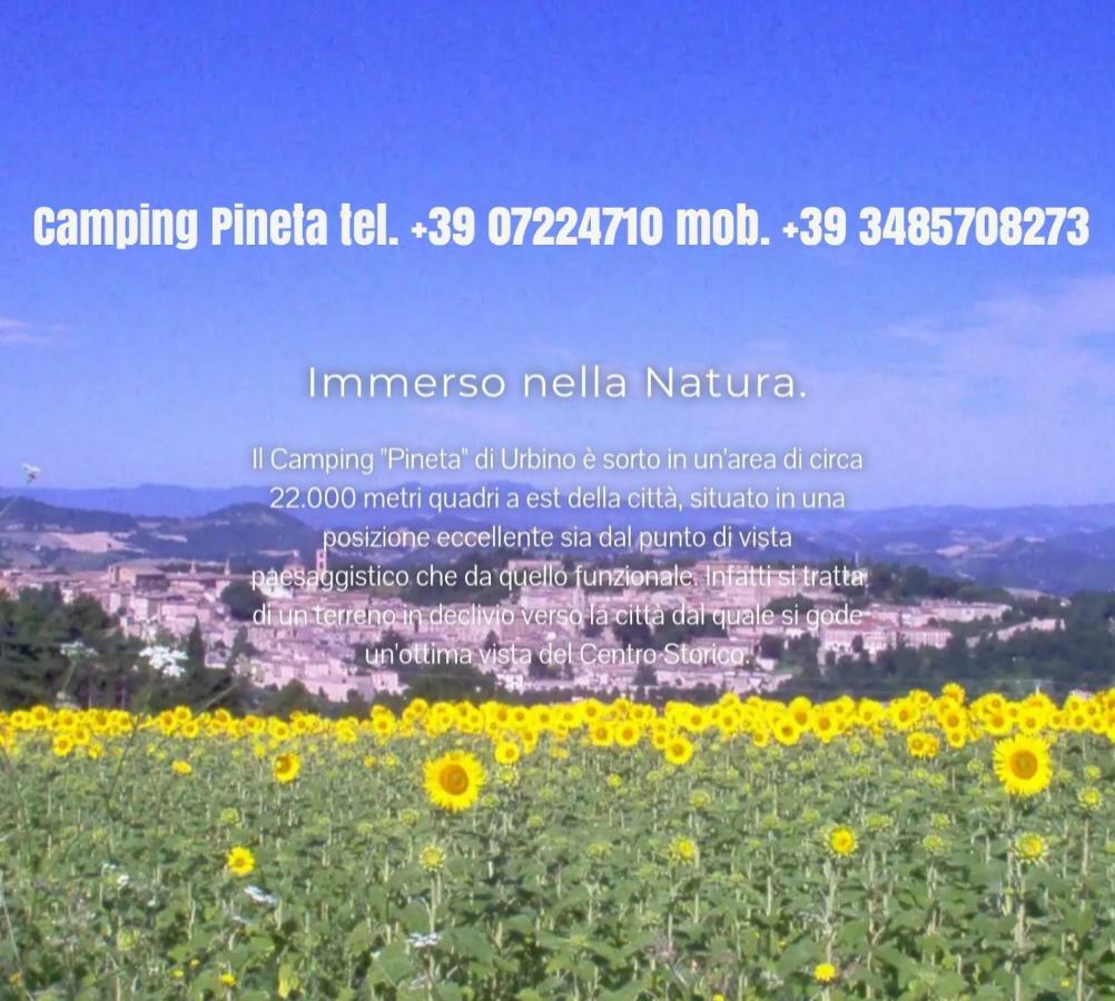 Camping Pineta Ξενοδοχείο Ουρμπίνο Εξωτερικό φωτογραφία